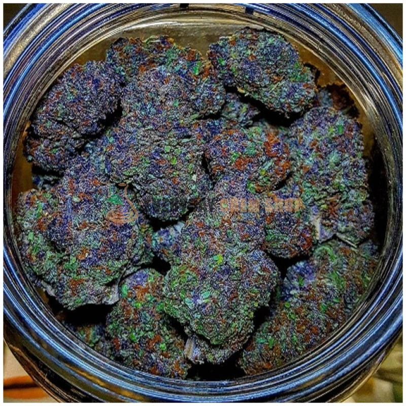 Køb Amnesia Haze stamme online