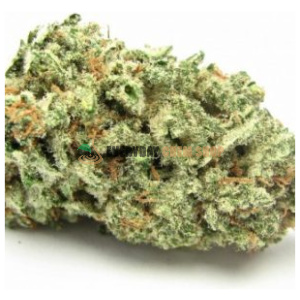 Buy AK-47 Strain online