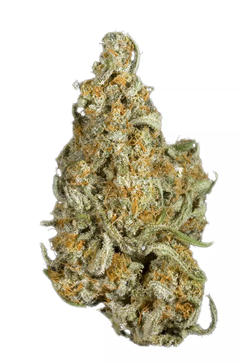 Best grade Apollo 11 Marijuana online