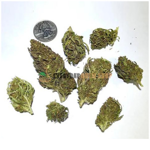 OTTO X Cherry CBD Hemp Flower