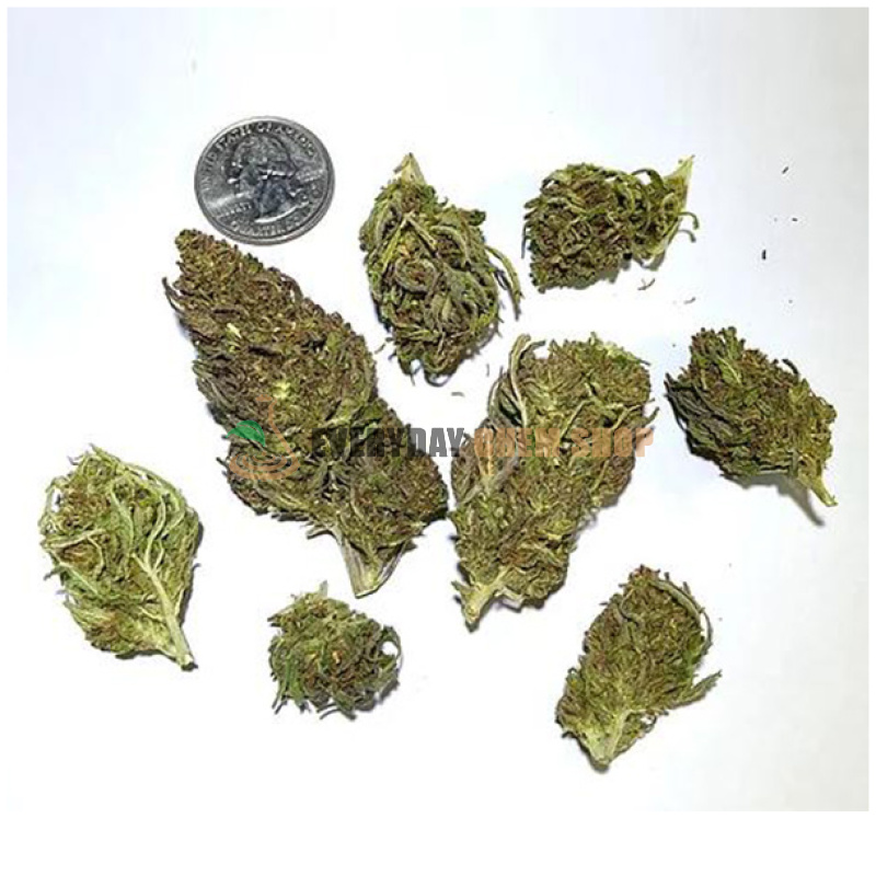 OTTO X Cherry CBD Hemp Flower