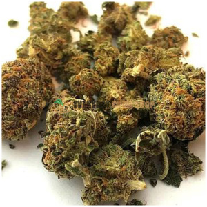 Buy Suzy Q CBD Hemp Flower Online
