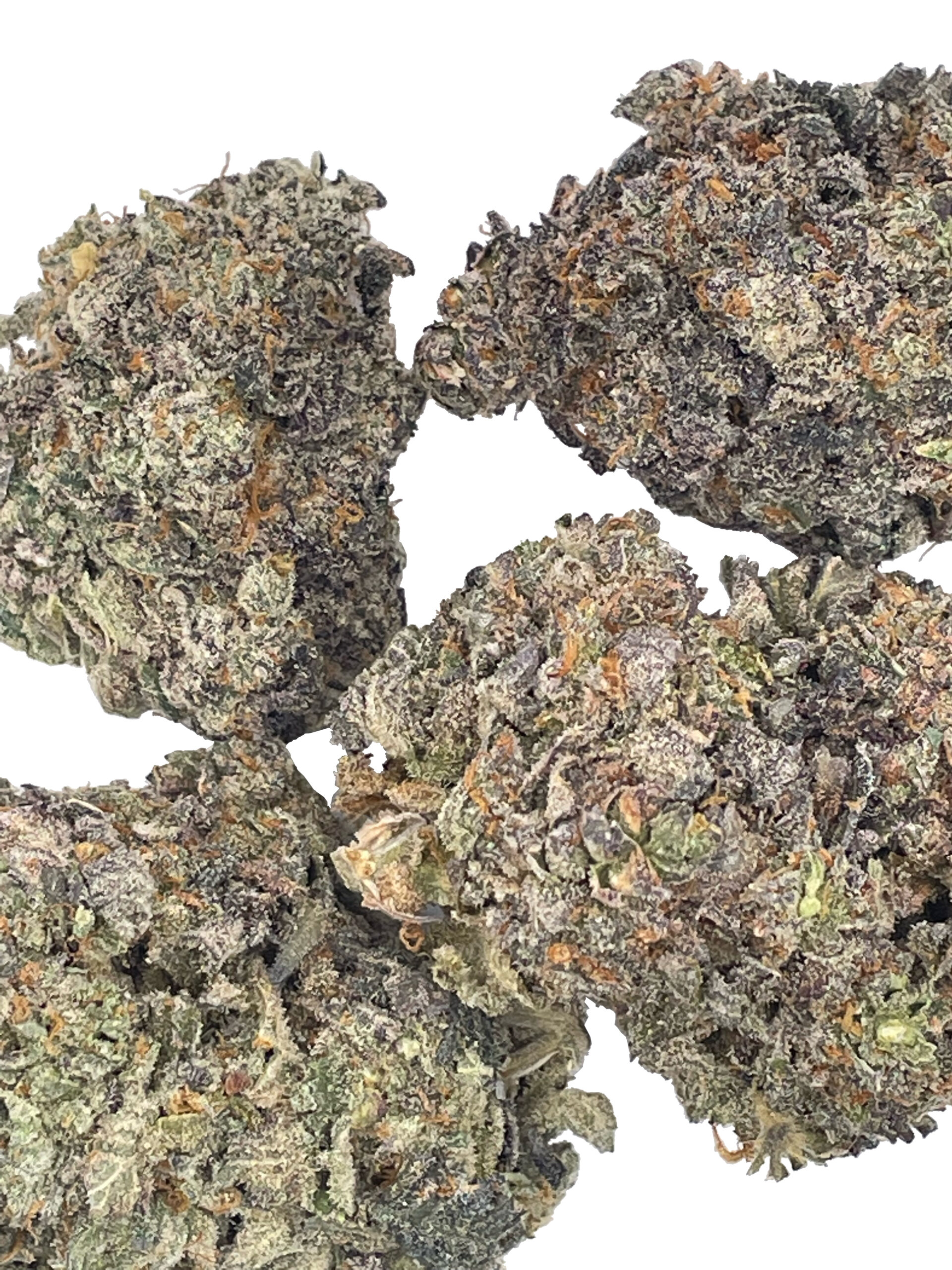 Buy premium grade Cherry Gorilla Online