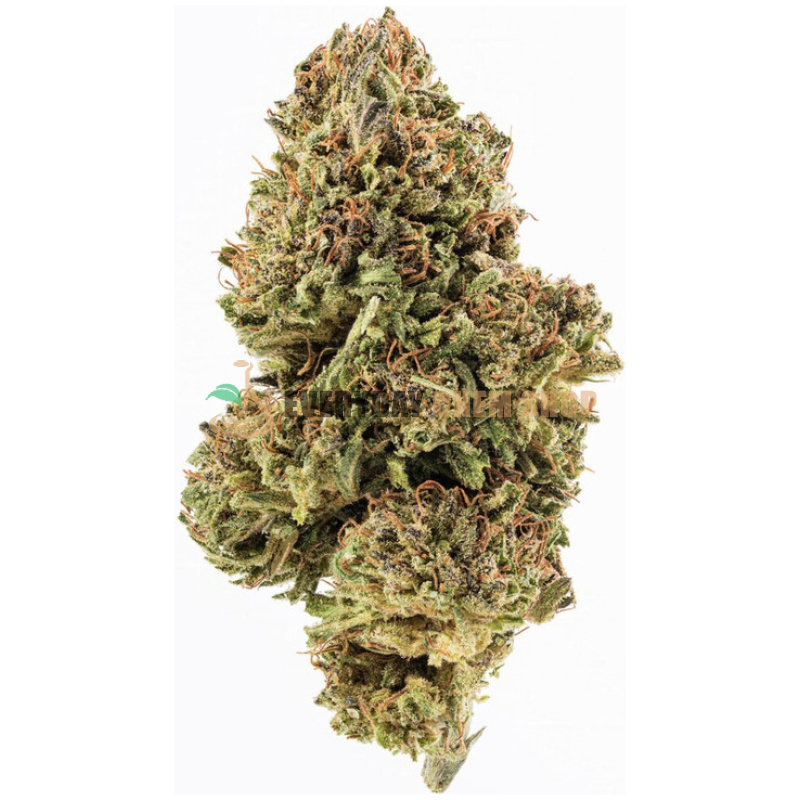 Køb Sour Diesel CBD Hamp Flower Online