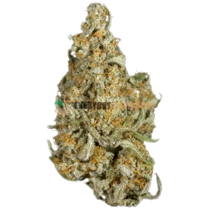 Bestnote Apollo 11 Marihuana online