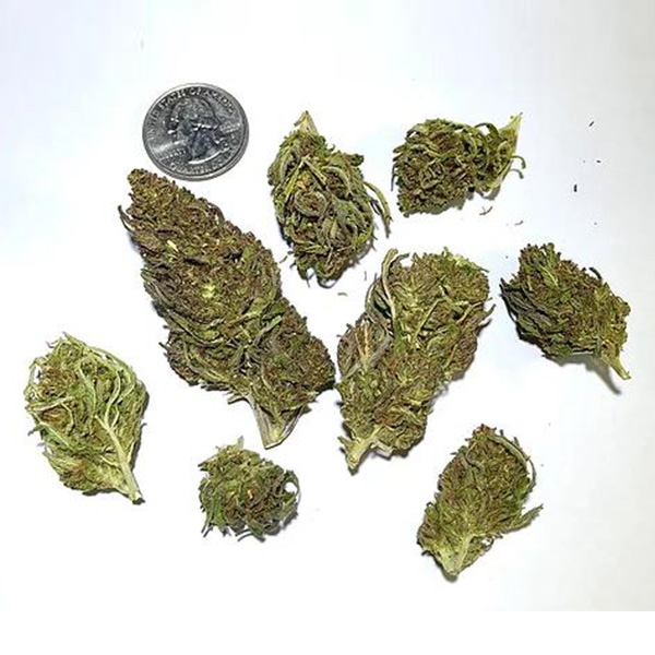 Fleur de chanvre OTTO X Cerise CBD