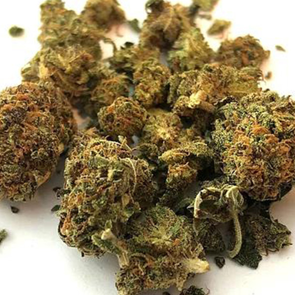 Acquista Suzy Q CBD Fiore di Canapa Online