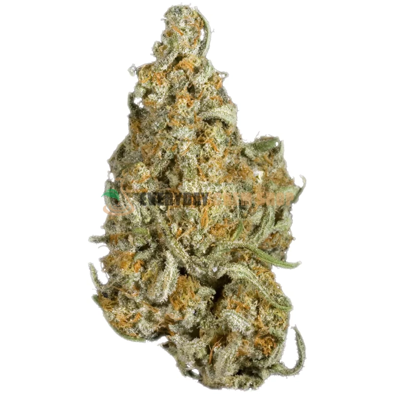 Najlepsza marihuana Apollo 11 online